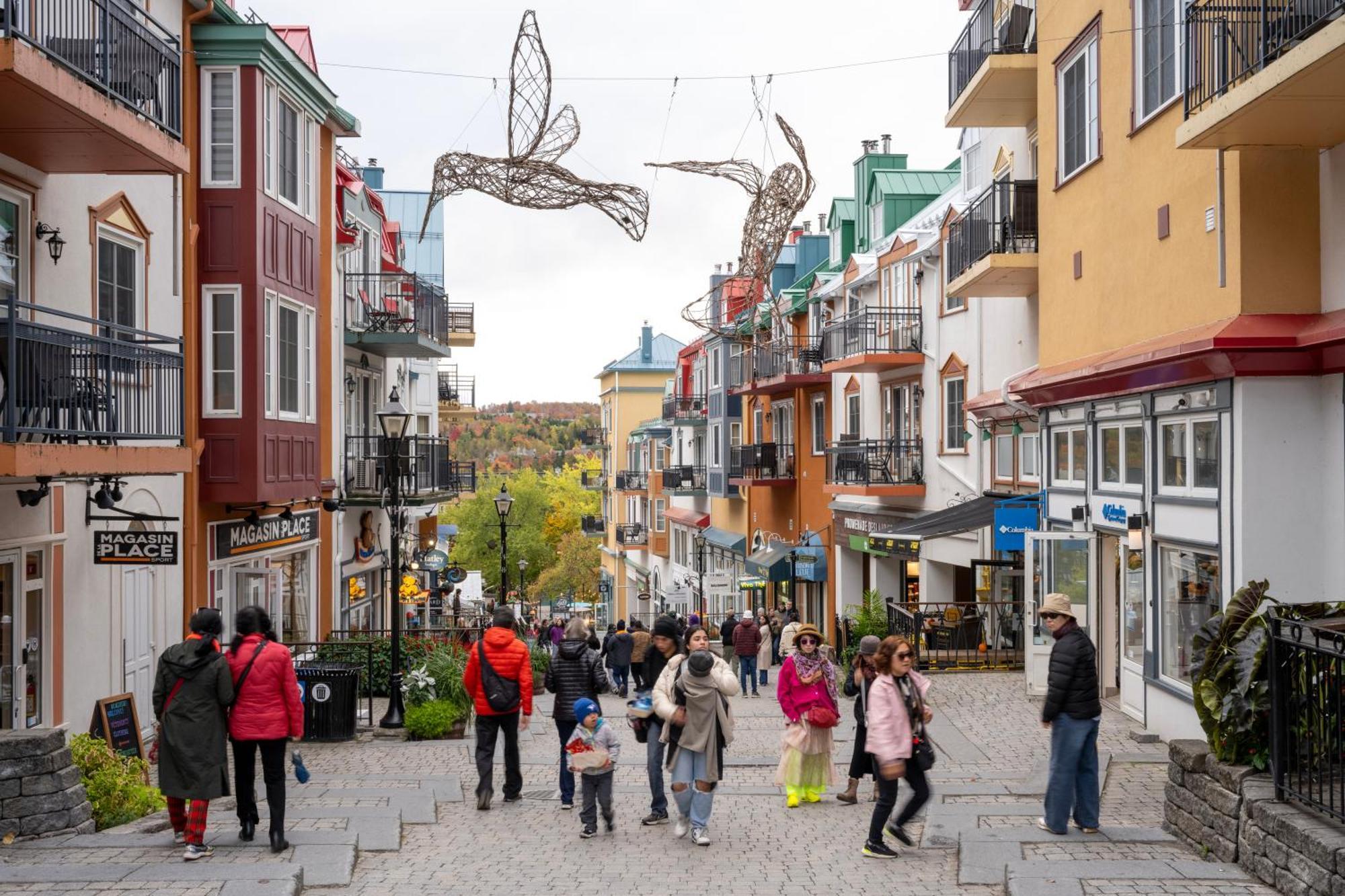 Condo Moderne, Escapade Vacance, Vue Sur Montagnes 외부 사진